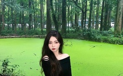 日出水了好深好涨